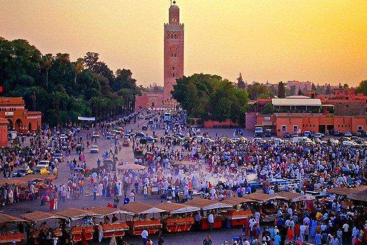 Marrakech: Private Guided Half-Day City Tours