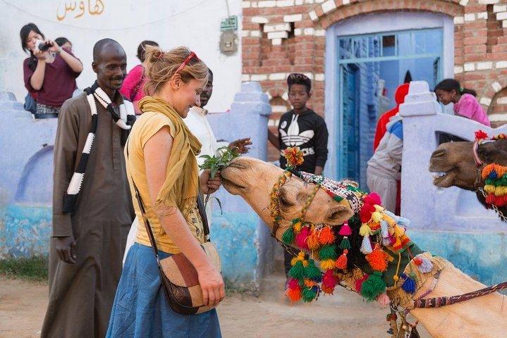 Private Tour of Nubian Village from Aswan by Felucca