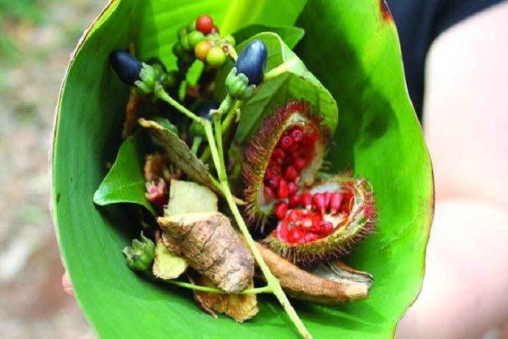 Spice Tour & Cooking Class in Zanzibar