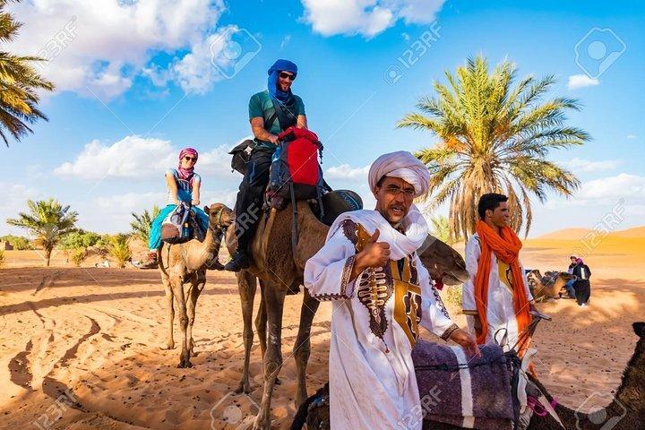 Merzouga Desert Camp & Camel Ride