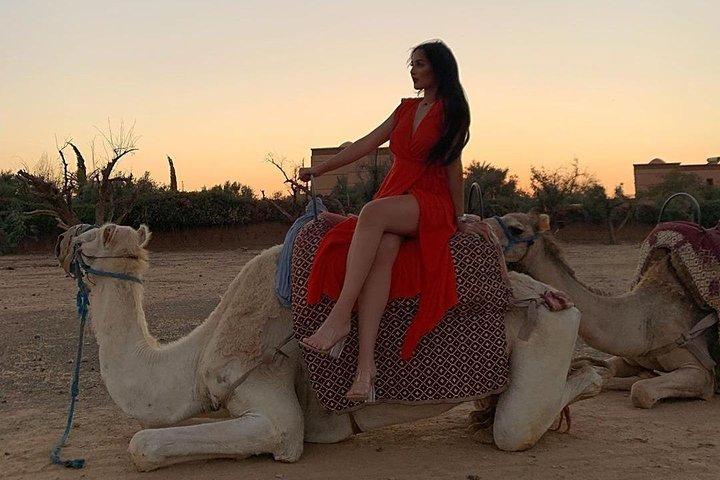 Pack Camel ride 1 Hour and Quad biking 2 Hours in Marrakech