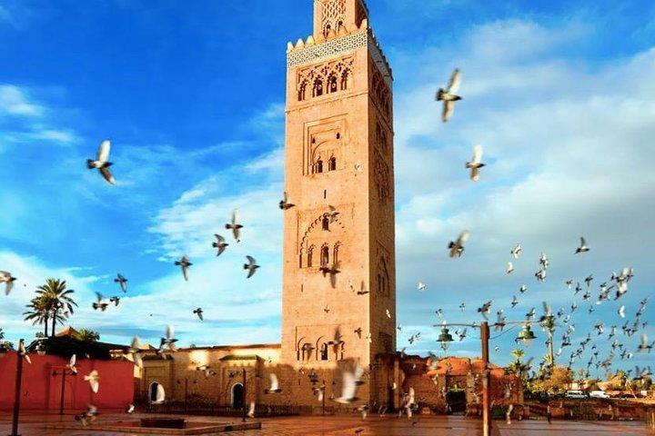 11 Days Morocco Epic Private Tour - Casablanca to Marrakesh via Chaouen & Desert