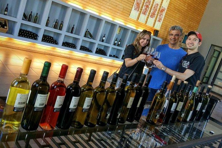 Wine Trails Tour/Nemea visit 3 wineries from Athens, Nafplion 9 h
