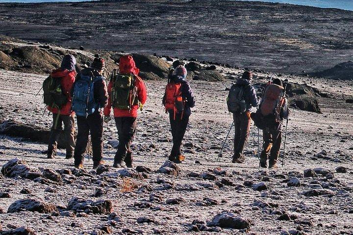 8 Days Kilimanjaro Lemosho route details