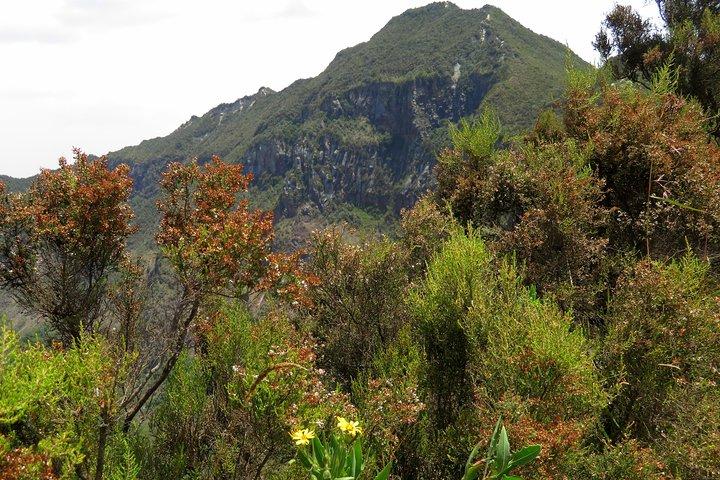1 Day Hike to Mount Longonot