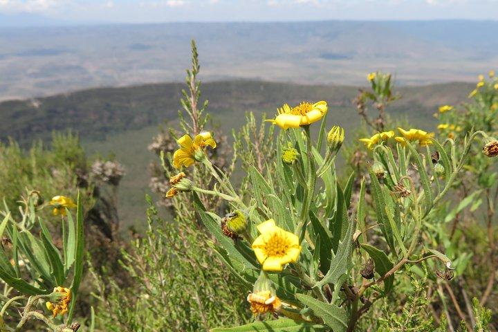 1 Day Hike to Mount Longonot