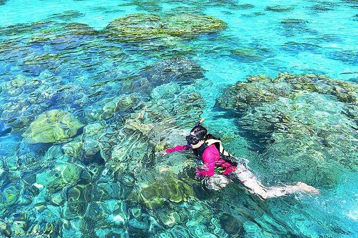 Surin Islands Snorkeling Day Trip By Love Andaman From Phuket