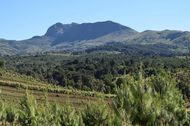 Scenic Day Trip to Aberdares National Park