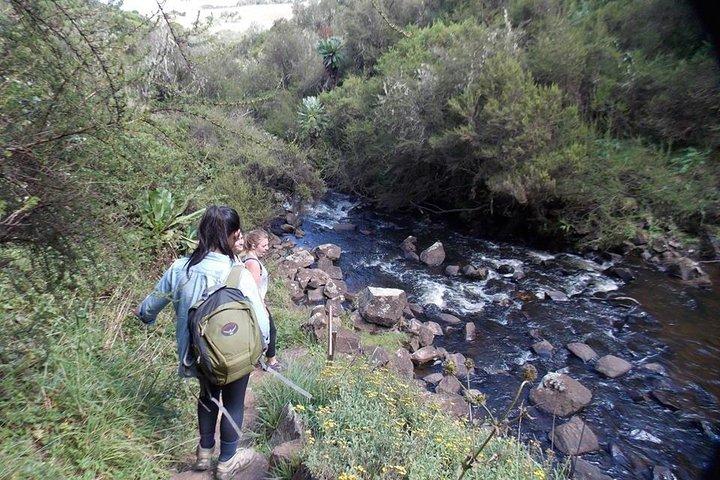 Scenic Day Trip to Aberdares National Park