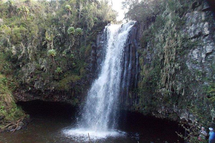 Scenic Day Trip to Aberdares National Park