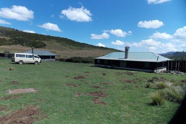 Scenic Day Trip to Aberdares National Park