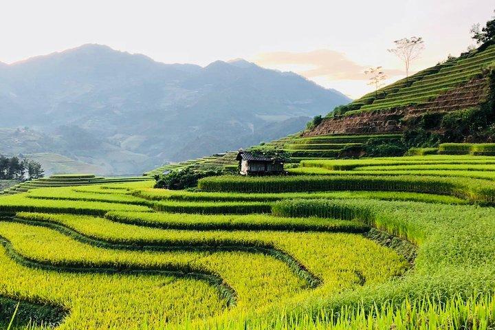 Discover the Beauty of Sa Pa: A One-Day Trek