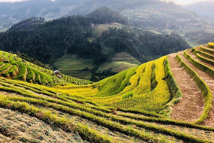 Discover the Beauty of Sa Pa: A One-Day Trek