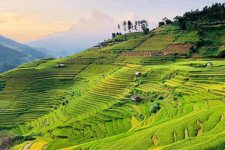Discover the Beauty of Sa Pa: A One-Day Trek