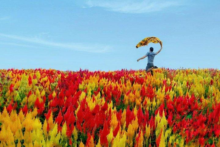 Cebu: Private Twin City Tour +Temple of Leah + Sirao Flower Farm