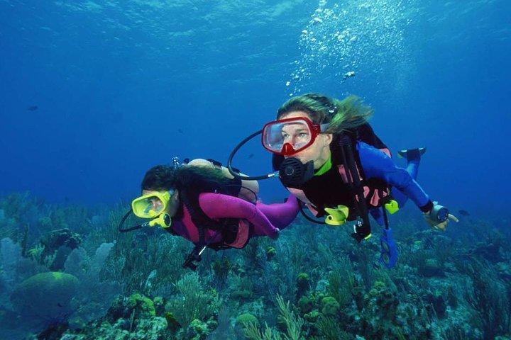 Scuba Diving Tour From Alanya - Side - Antalya