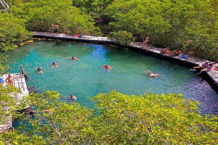 Discover Holbox the Most Colorful Island. Includes Cenote & Passion Island