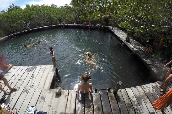 Discover Holbox the Most Colorful Island. Includes Cenote & Passion Island