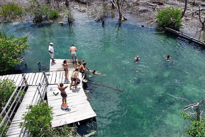 Discover the Wonders of Holbox, Cenote and Passion Island. Transport included