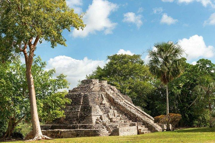 Ancient Chacchoben Mayan Ruins Tour from Costa Maya