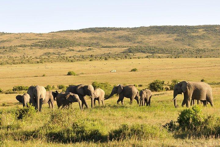 3 Day 2 Nights Maasai Mara Safari