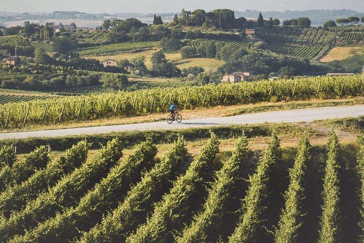 3-Hour Bike Tour and Wine in Tuscany: Nobile's Path
