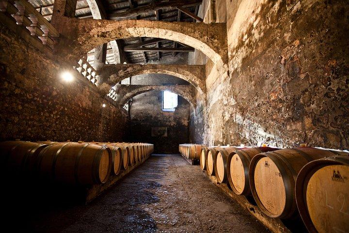 Chateau du Taillan and Park including Wine Tasting Tour