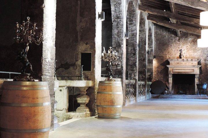Chateau du Taillan and Park including Wine Tasting Tour