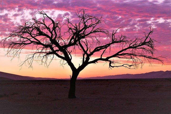 2 Days Sossusvlei Private Camping Tour