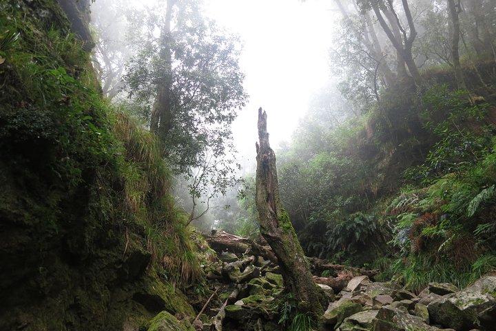 Skeleton Gorge to Table Mountain summit