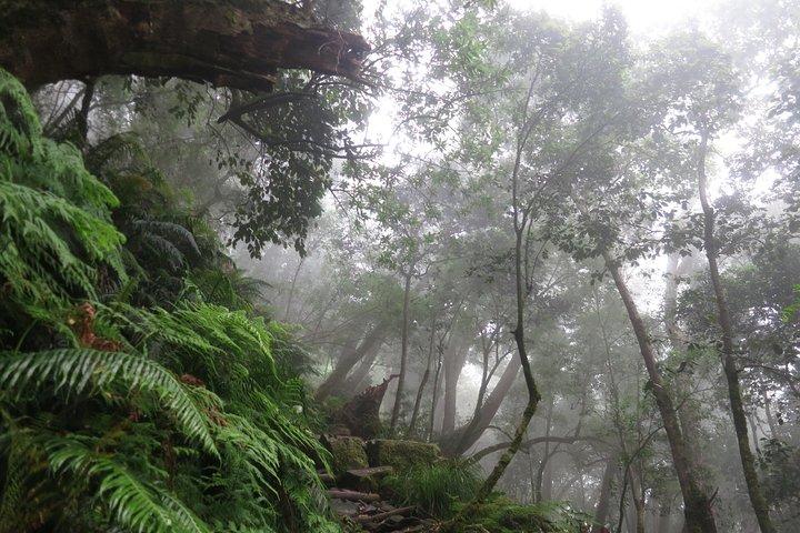 Skeleton Gorge to Table Mountain summit
