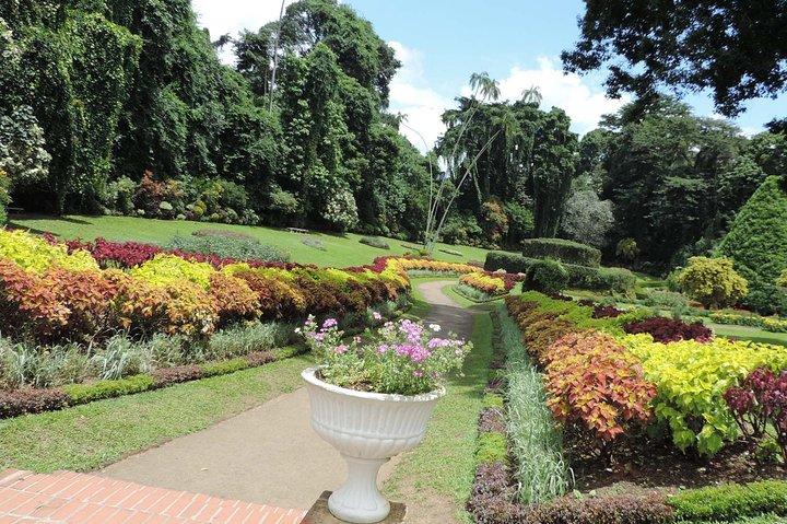 4N/5D Sigiriya + Kandy + Nuwaraeliya + Colombo From Colombo or Negombo