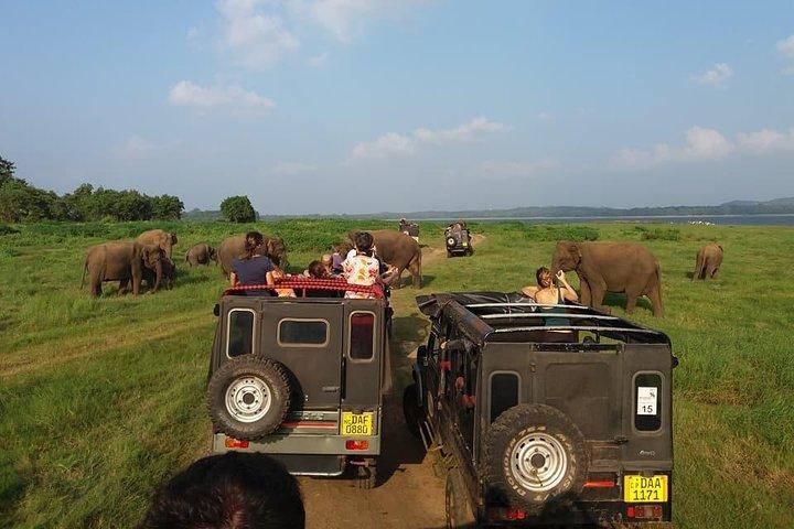 4N/5D Sigiriya + Kandy + Nuwaraeliya + Colombo From Colombo or Negombo