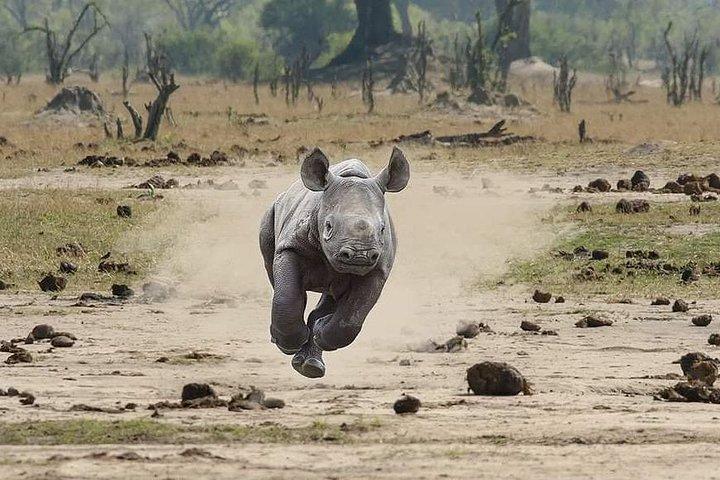 2 Night 3 Day Kruger via Panorama Safari package