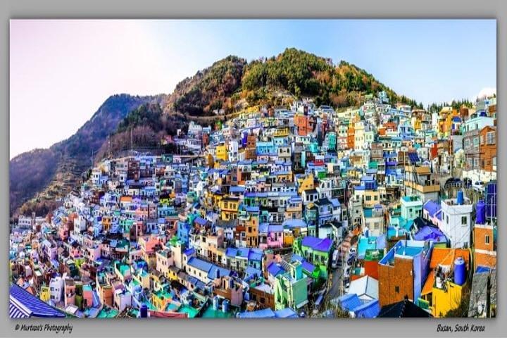 Busan City Tour Including Gamcheon Culture village and Haedong Yonggungsa Temple