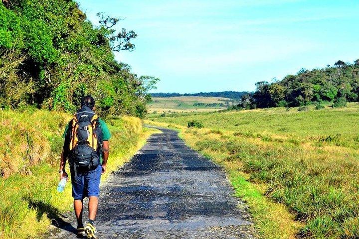 Horton Plains Nuwara Eliya Tour