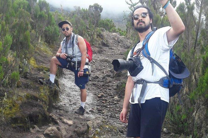 Climb Kilimanjaro via Marangu Route 6 Days