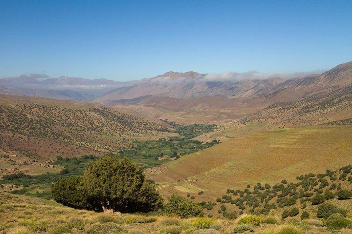 Guided Tour | Atlas trekking tour: 4068 m (7 days)