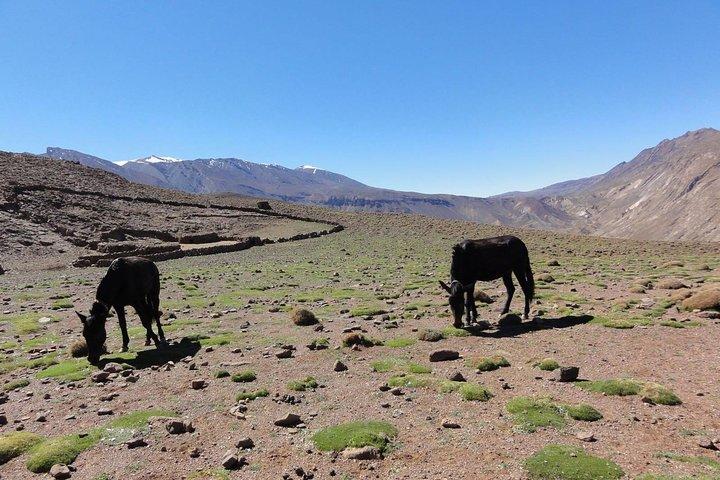 Guided Tour | Atlas trekking tour: 4068 m (7 days)