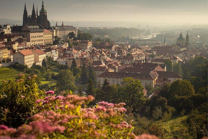 VIP Private tour Prague: The Best of Prague