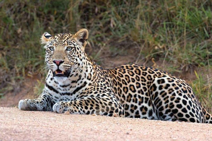 20 Days Combined East African Adventure Safari
