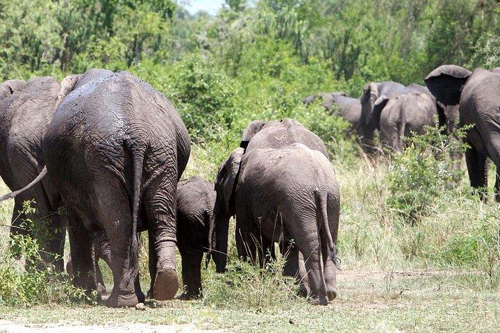 20 Days Combined East African Adventure Safari