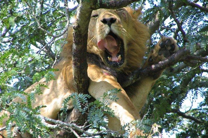 20 Days Combined East African Adventure Safari