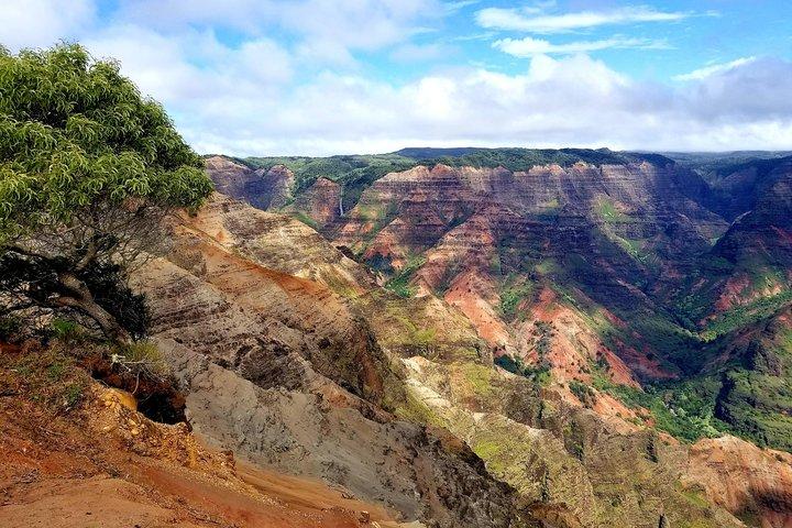 Private Waimea Canyon Tour