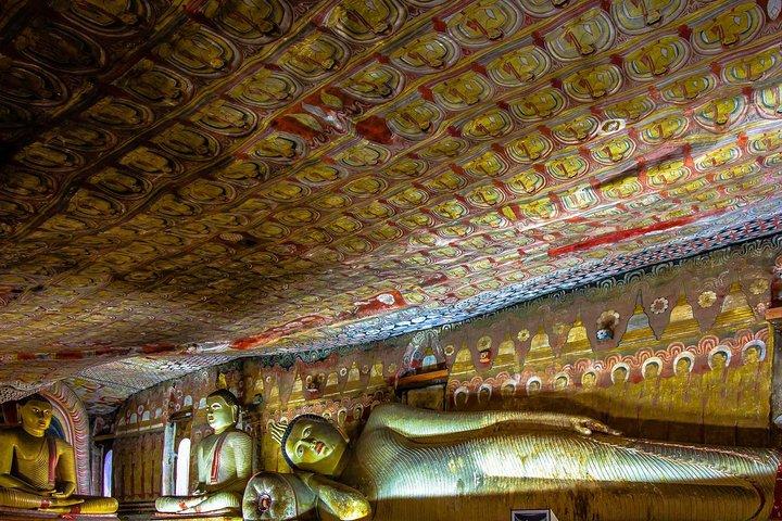 Dambulla And Polonnaruwa Ancient City Day Tour From Colombo