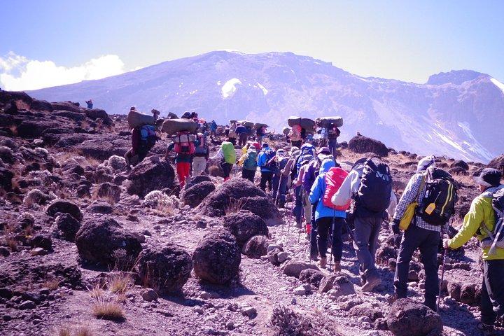 1 Day Kilimanjaro Climb via Machame Route
