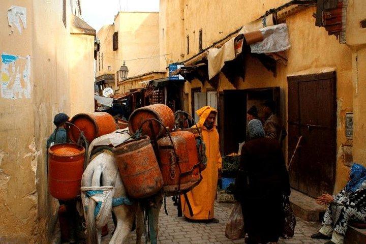 Best Full-Day Guided Tour of Fez | Fez Sightseeing Tour