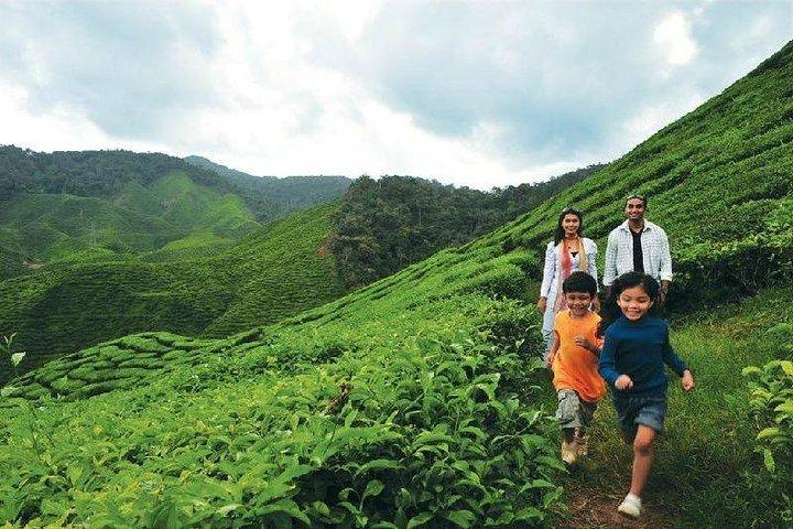 7-Day Overland Journey: Discover the Wonders of Malaysia