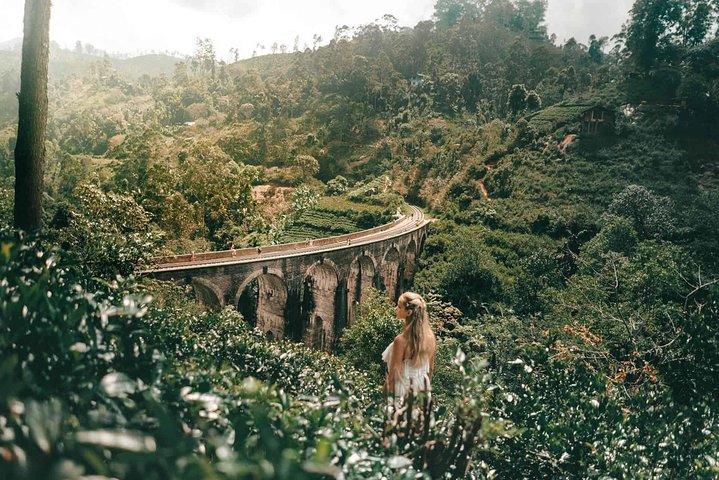 Nine Arch Bridge, Ella Rock and Little Adam's Peak Day Tour with Lunch