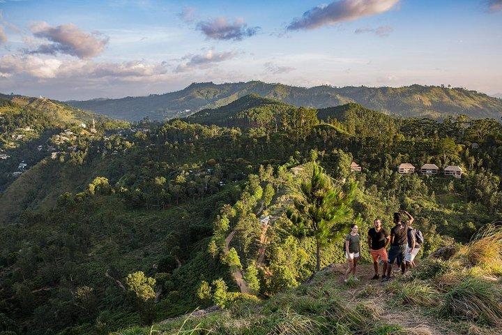 Nine Arch Bridge, Ella Rock and Little Adam's Peak Day Tour with Lunch